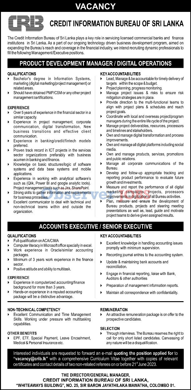 Product Development Manager (Digital Operations), Accounts Executive ...