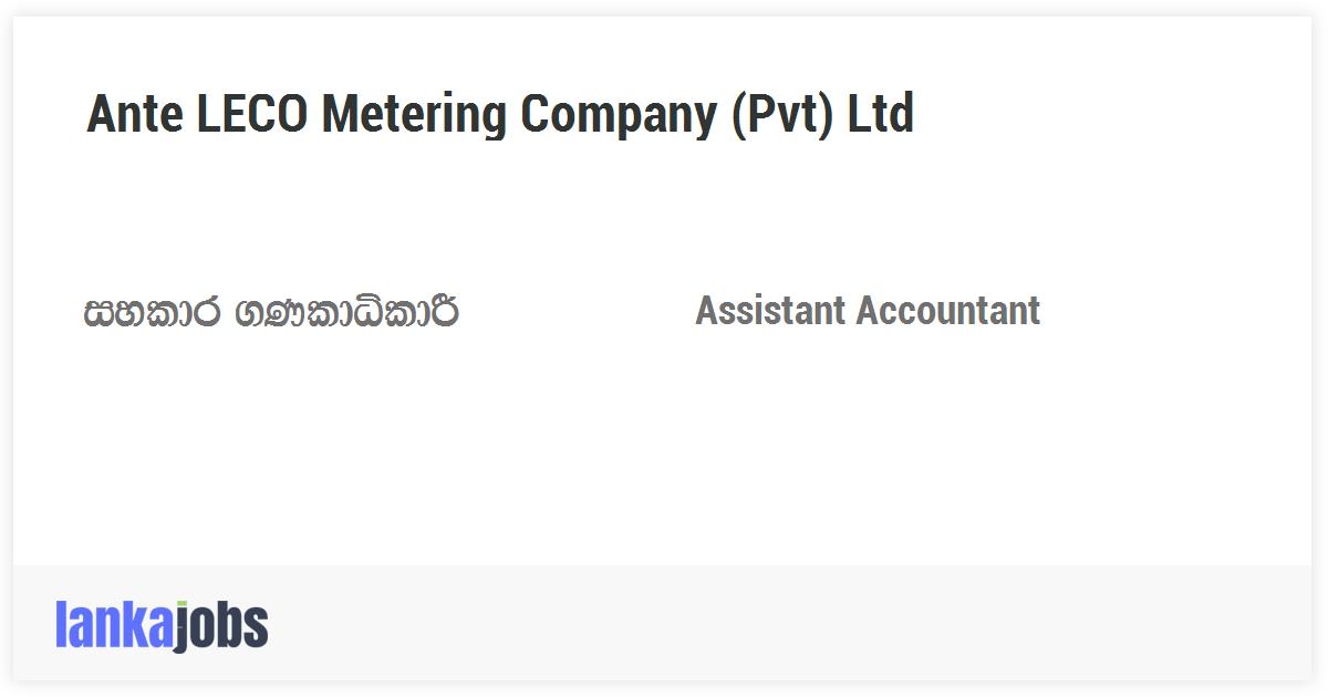 assistant-accountant-ante-leco-metering-company-pvt-ltd