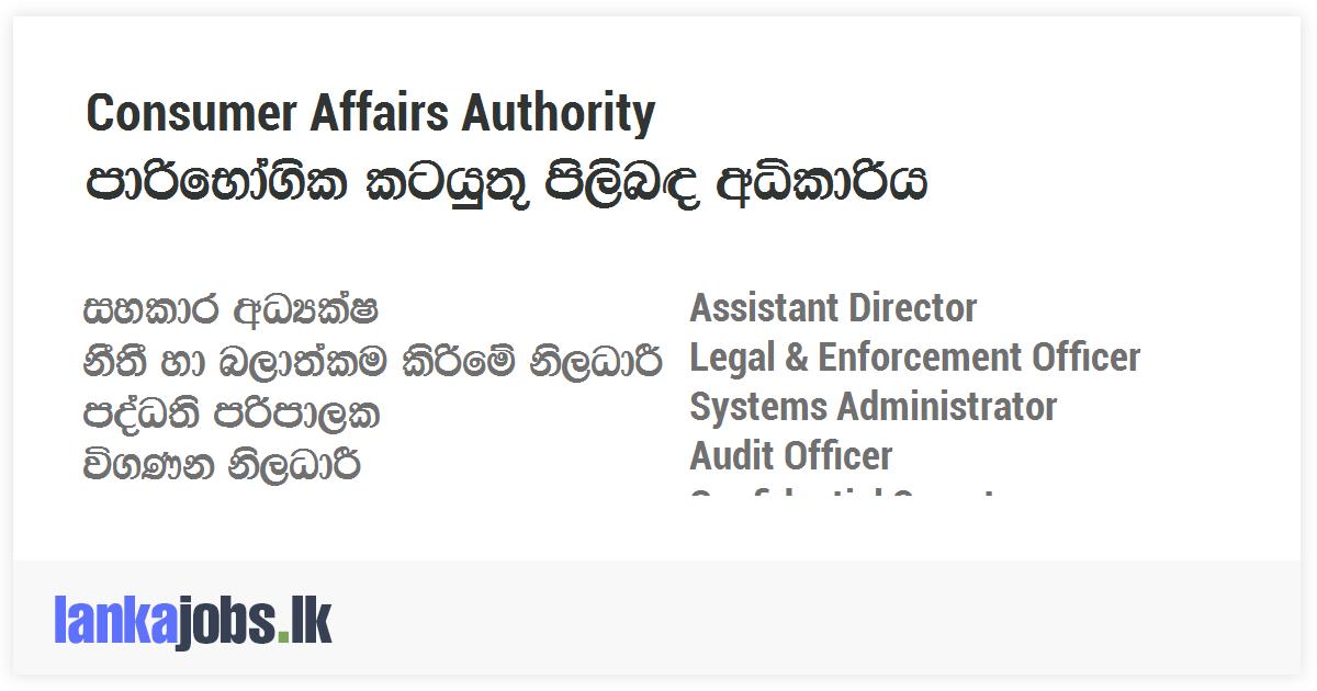 assistant-director-legal-enforcement-officer-systems-administrator