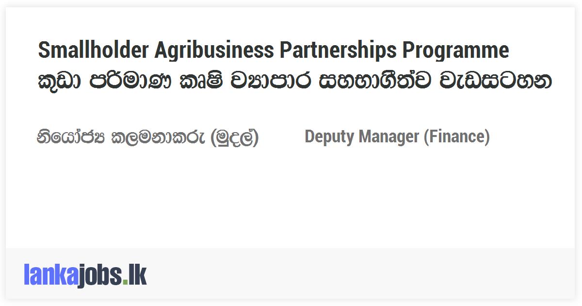 deputy-manager-finance-smallholder-agribusiness-partnerships-programme