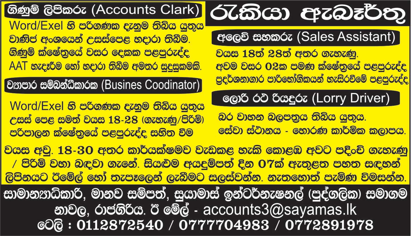 accounts-clark-sales-assistant-business-coordinator-sayamas