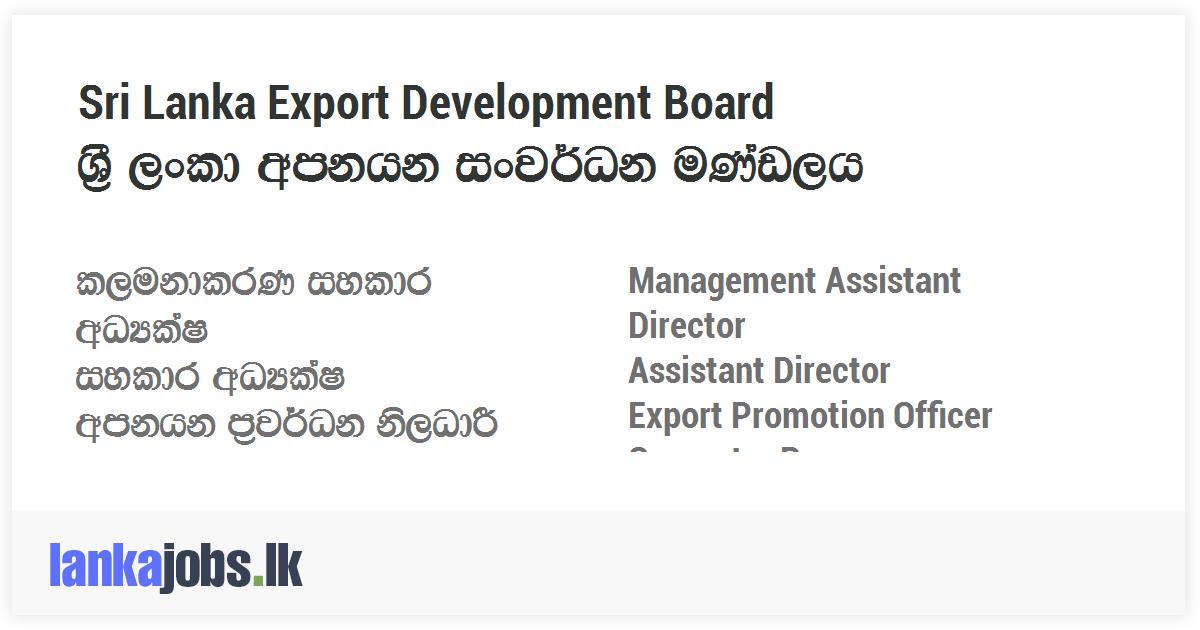 Management Assistant Director Assistant Director Export Promotion