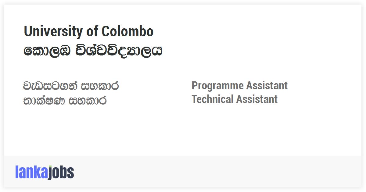 programme-assistant-technical-assistant-university-of-colombo