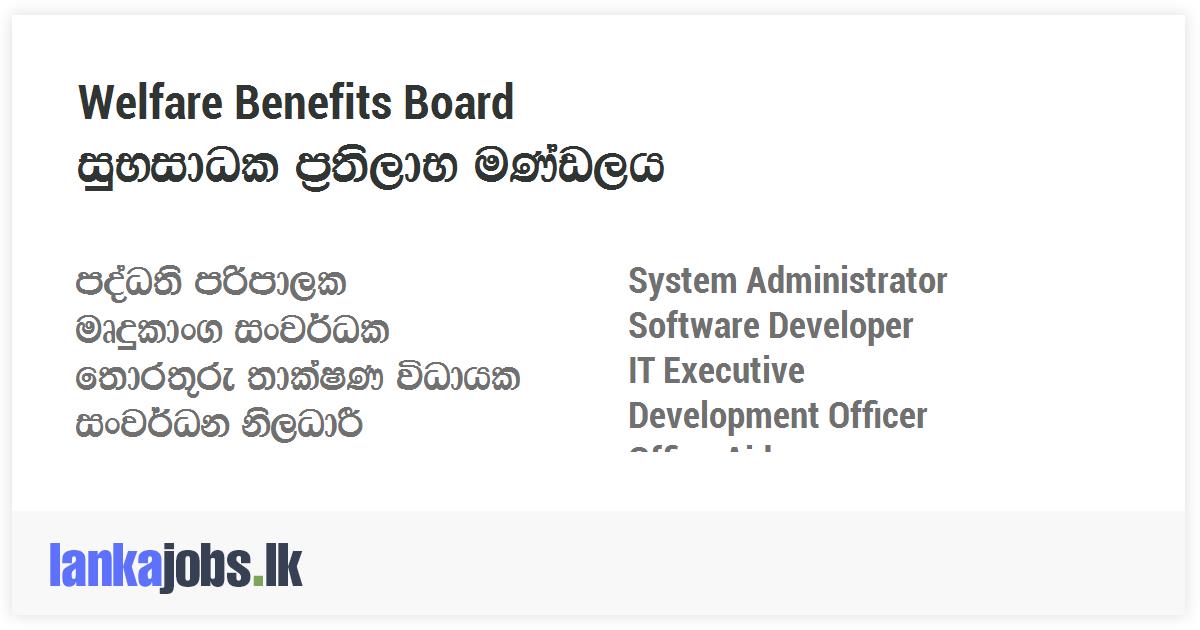 SYSTEM ADMINISTRATOR SALARY IN SRI LANKA visual data 4
